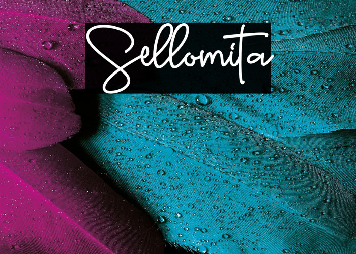 Sellomita Example 1
