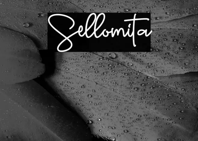 Sellomita Font examples