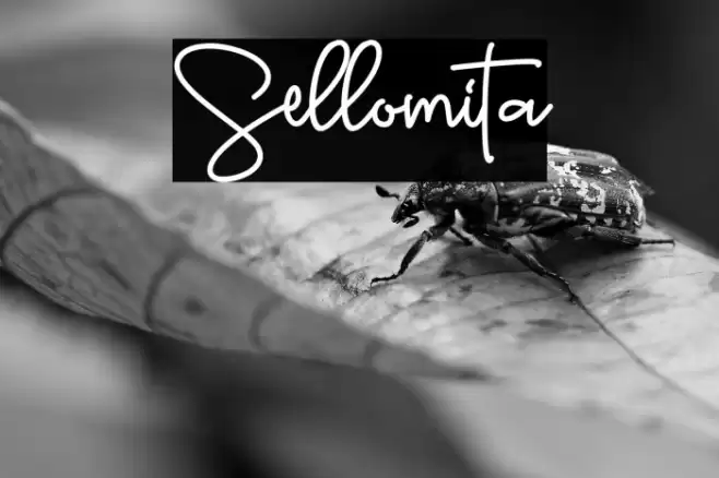 Sellomita Font examples