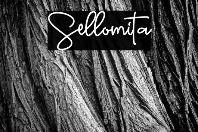 Sellomita Font examples