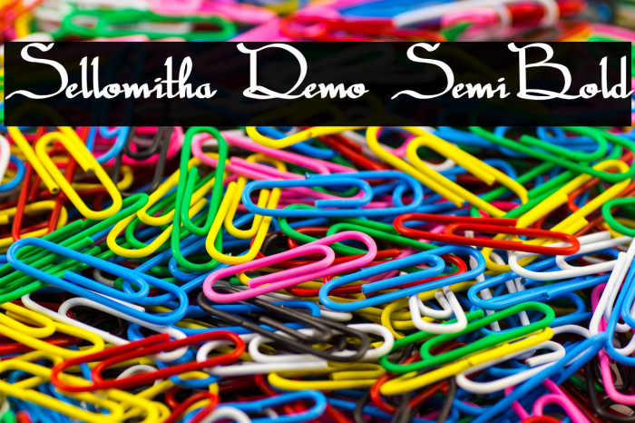 Sellomitha Demo SemiBold Example 1