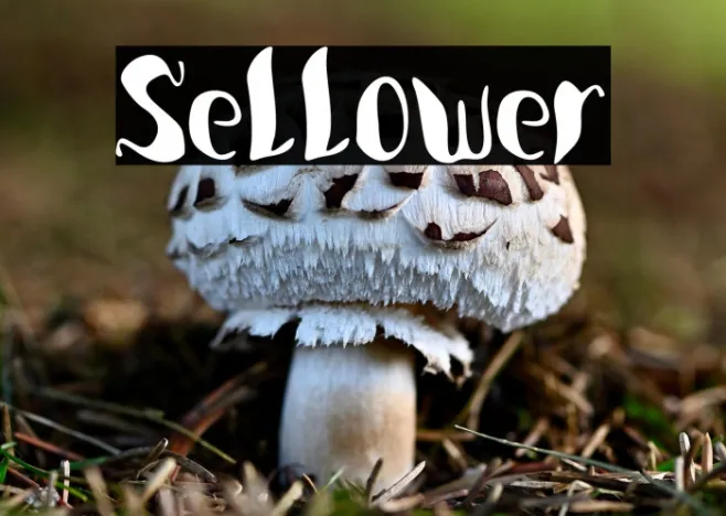 Sellower Example 1