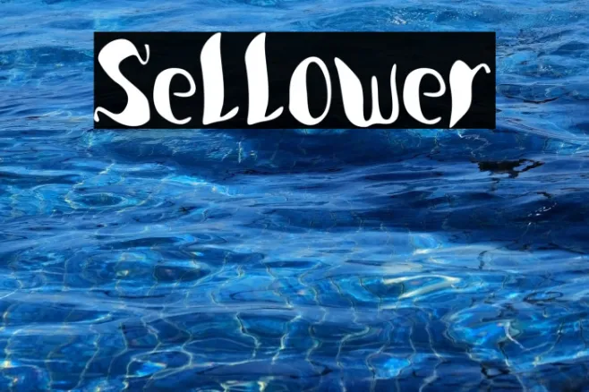 Sellower Example 2