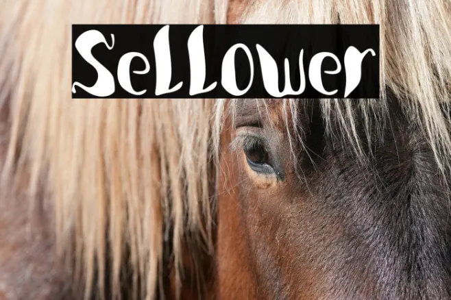 Sellower Example 3