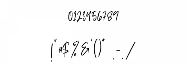 Sellviny Queen Font OTHER CHARS