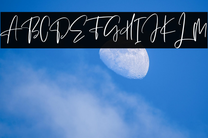 Sellviny Queen Example 1