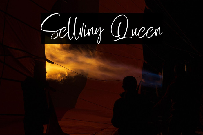 Sellviny Queen Example 1