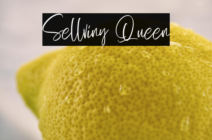 Sellviny Queen Example 2