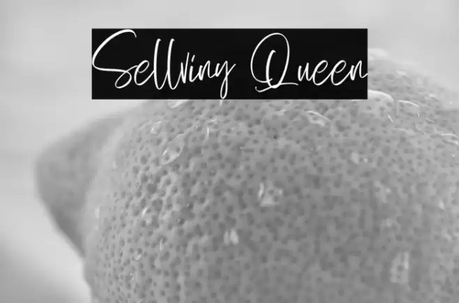 Sellviny Queen Font examples