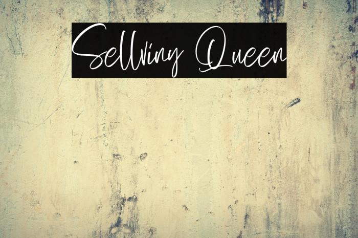 Sellviny Queen Example 3