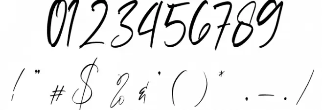 Sellviny Font OTHER CHARS