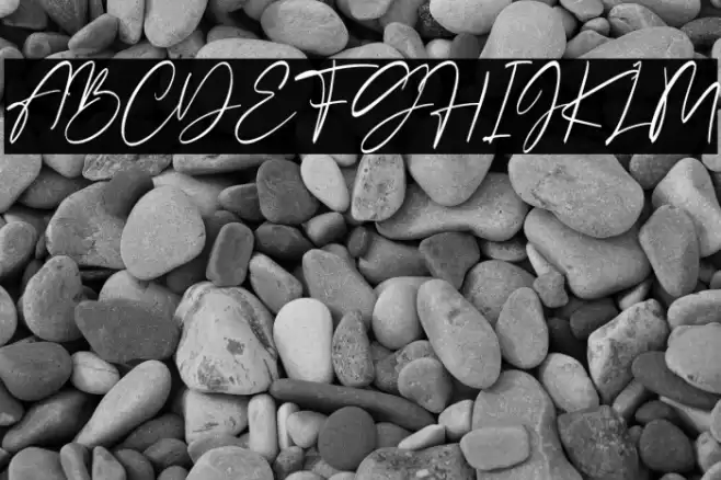 Sellviny Font examples