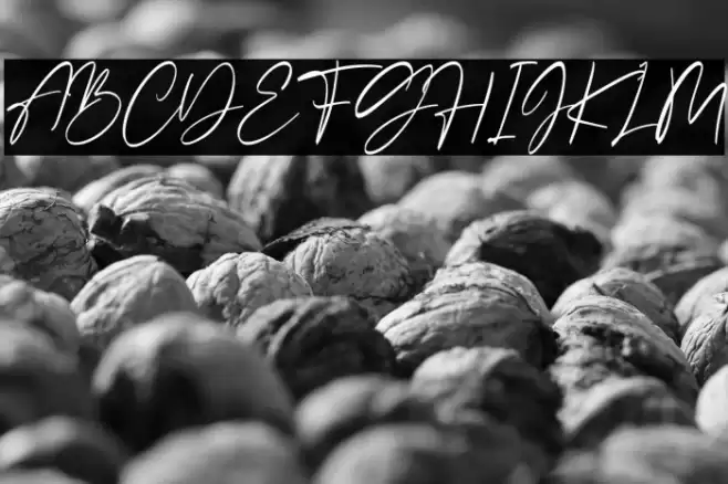 Sellviny Font examples