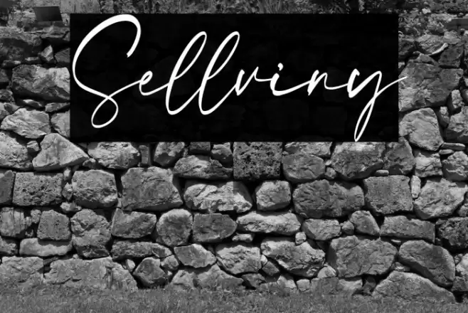 Sellviny Font examples