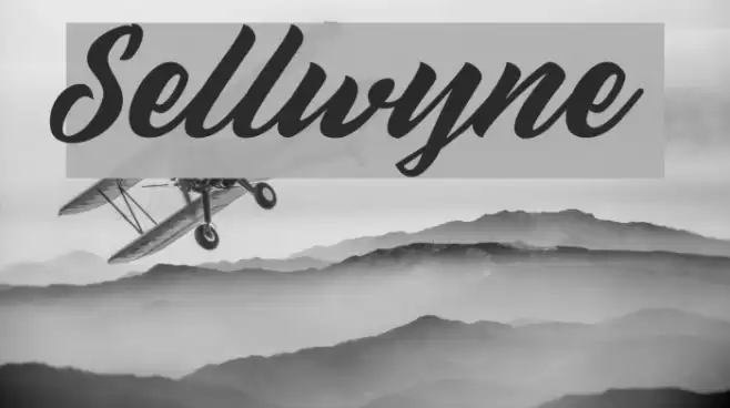 Sellwyne Font examples