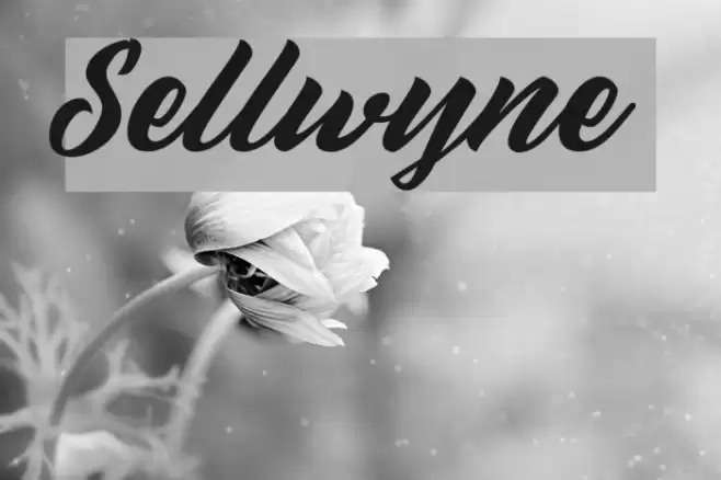 Sellwyne Font examples