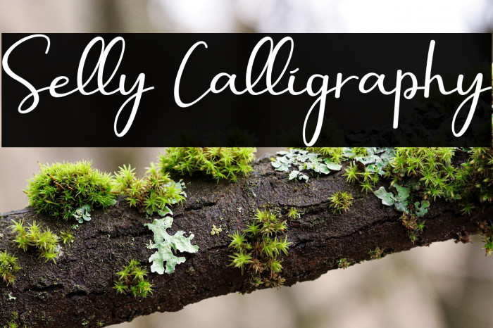 Selly Calligraphy Example 2