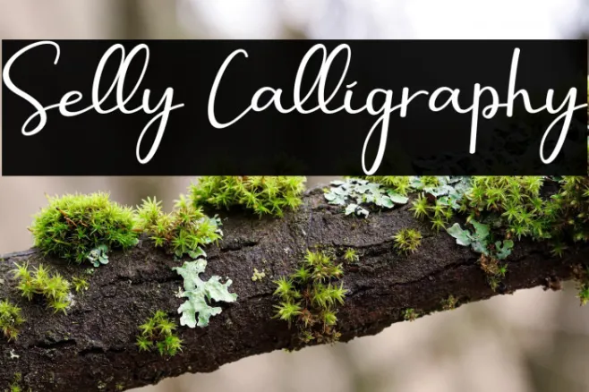 Selly Calligraphy Example 2