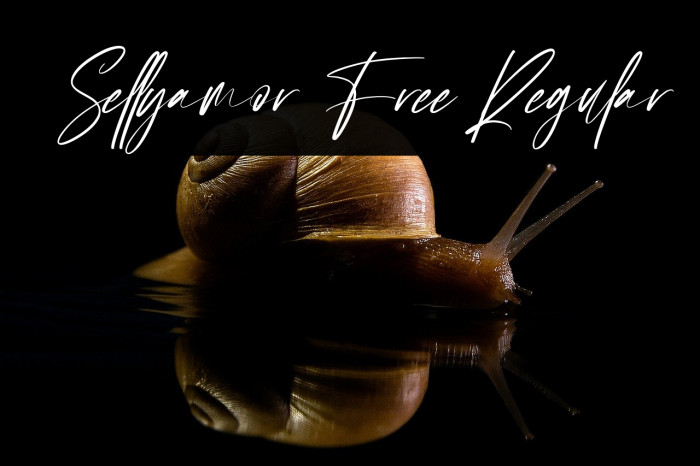 Sellyamor Free Regular Example 2