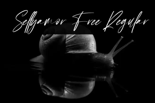 Sellyamor Free Regular フォント examples