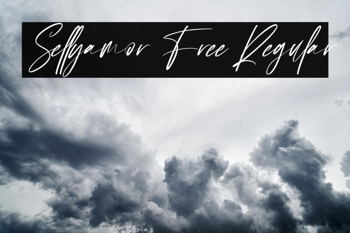 Sellyamor Free Regular Example 3