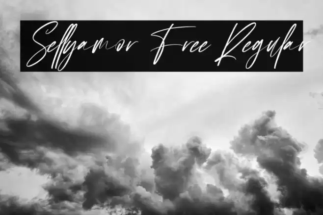 Sellyamor Free Regular フォント examples