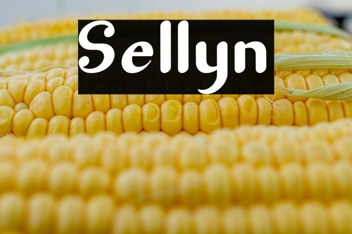 Sellyn Example 1