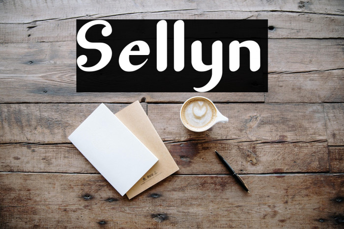 Sellyn Example 2
