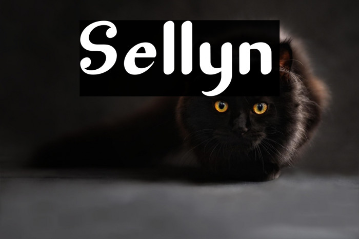 Sellyn Example 3
