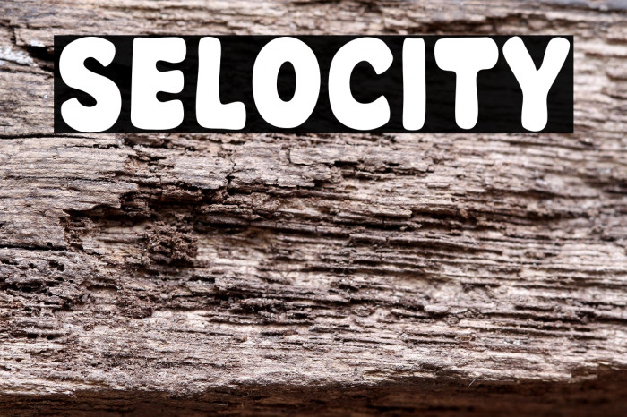 Selocity Example 1