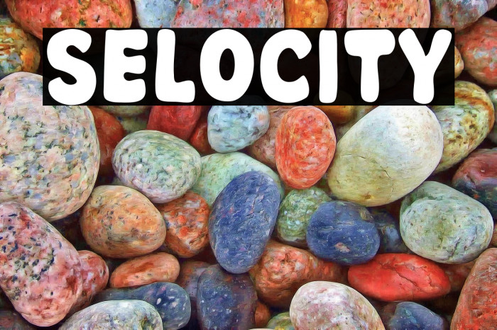 Selocity Example 2