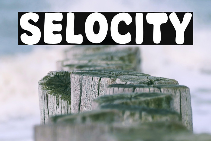 Selocity Example 3