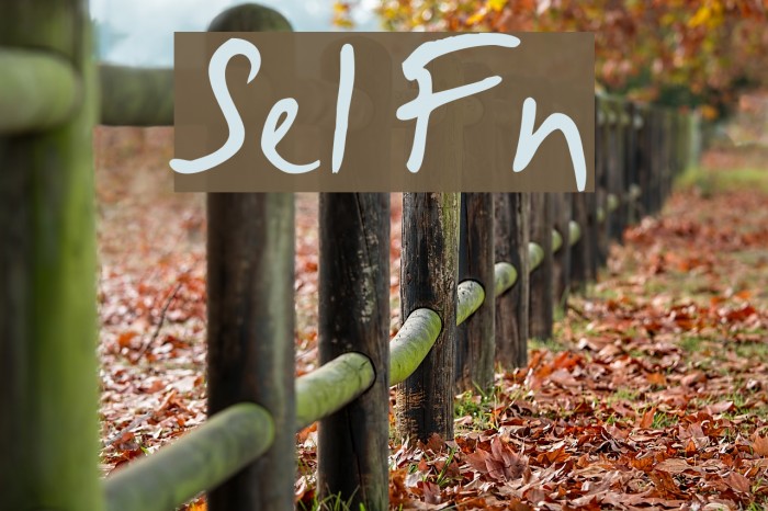 Selus Font examples