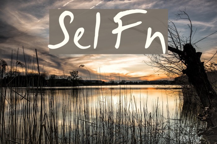 Selus Font examples