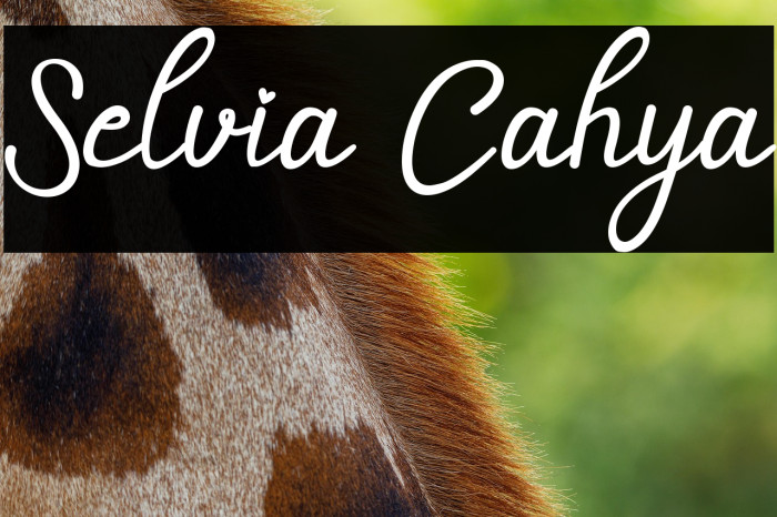 Selvia Cahya Example 1