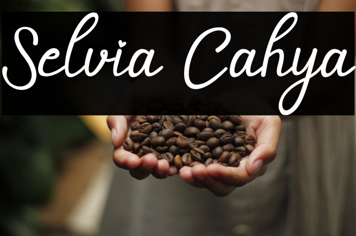 Selvia Cahya Example 2