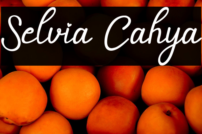 Selvia Cahya Example 3