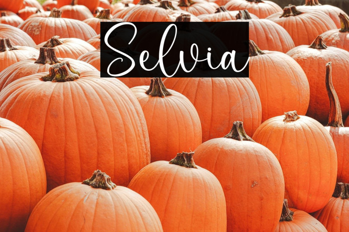 Selvia Schriftart examples