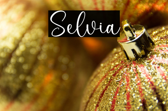 Selvia Schriftart examples