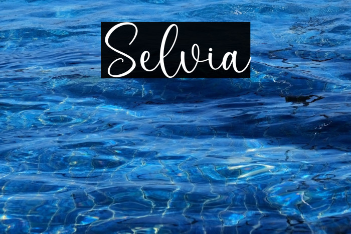 Selvia Schriftart examples