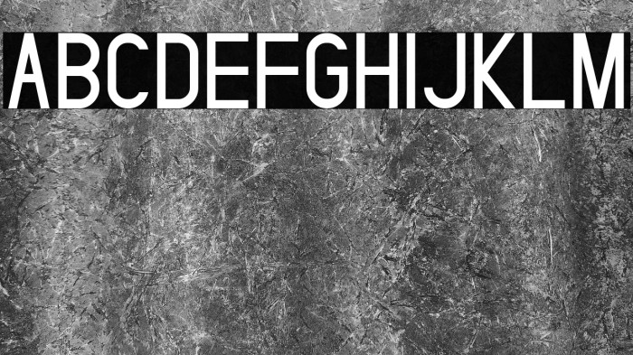 SelvilliaDreamerDEMO Sans Example 1