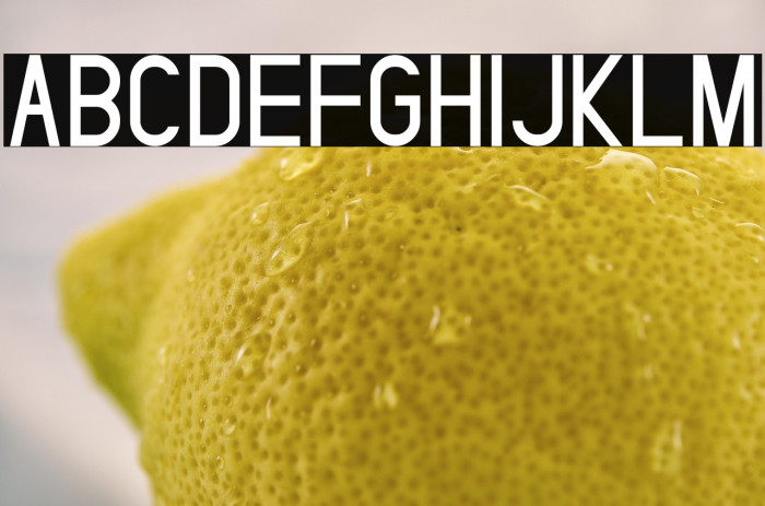 SelvilliaDreamerDEMO Sans Example 2