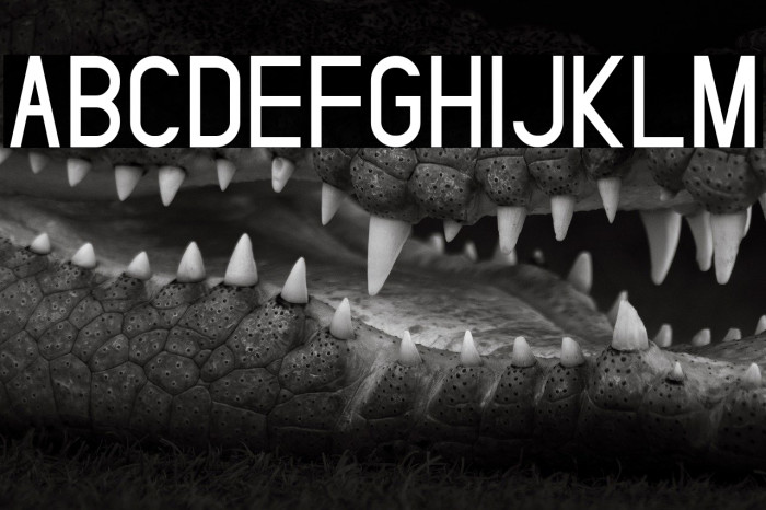 SelvilliaDreamerDEMO Sans Example 3