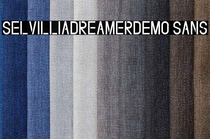 SelvilliaDreamerDEMO Sans Example 1