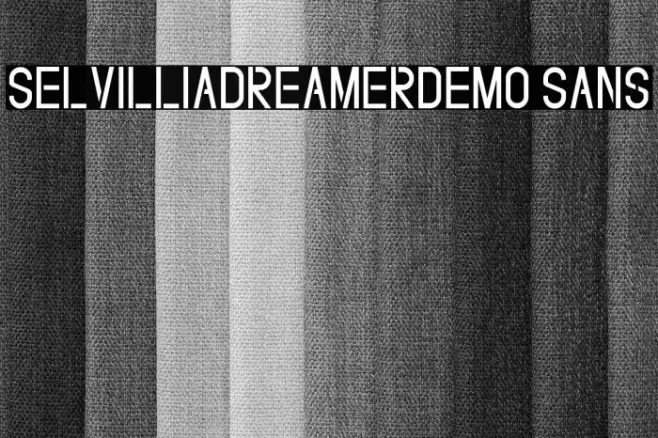 SelvilliaDreamerDEMO Sans Font examples