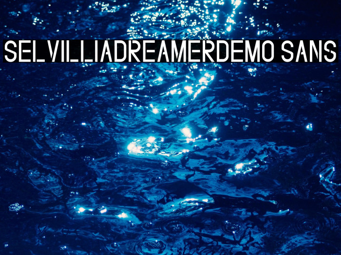SelvilliaDreamerDEMO Sans Example 2