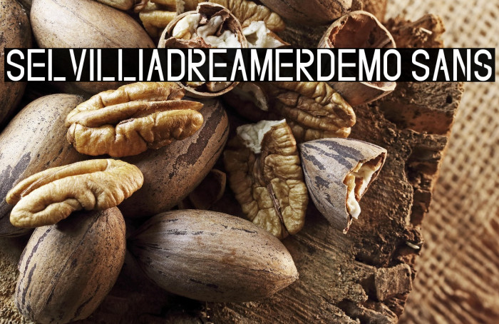 SelvilliaDreamerDEMO Sans Example 3