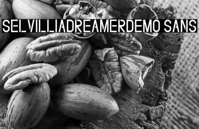 SelvilliaDreamerDEMO Sans Font examples