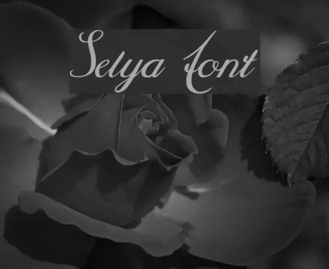 Selya Font examples