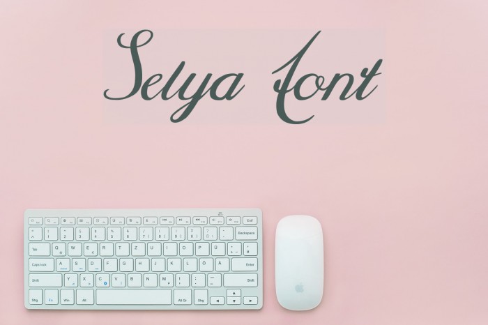 Selya لخطوط تنزيل examples